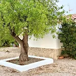 Eucaliptus Σπίτι διακοπών