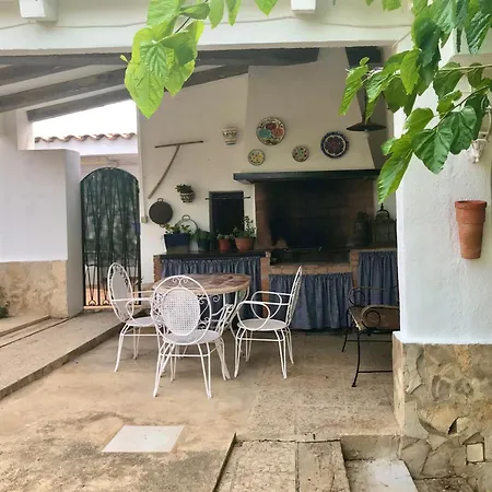 Eucaliptus Alcossebre