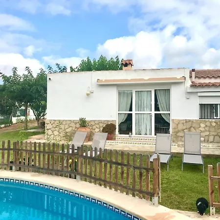 Eucaliptus * Alcossebre