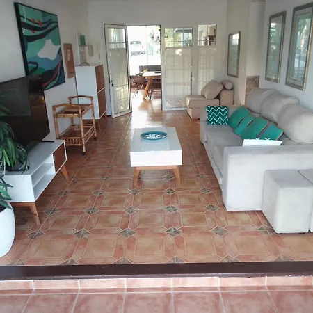 Eucaliptus Alcossebre