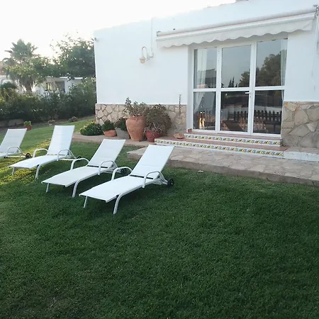 Eucaliptus * Alcossebre