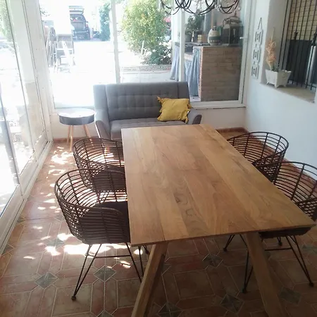 Eucaliptus Alcossebre