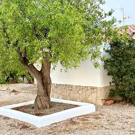 Eucaliptus بيت للعطل